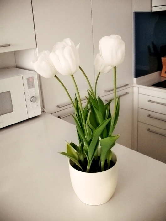 decor tulips